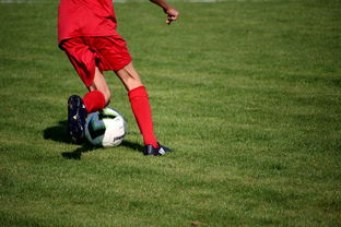 mk体育网页-体育新闻中心发布体育短视频内容运营新策略，体育短视频存在的问题