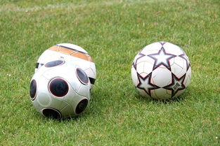 mk体育官网入口-基层足球俱乐部资金短缺，基层足球俱乐部资金短缺的原因