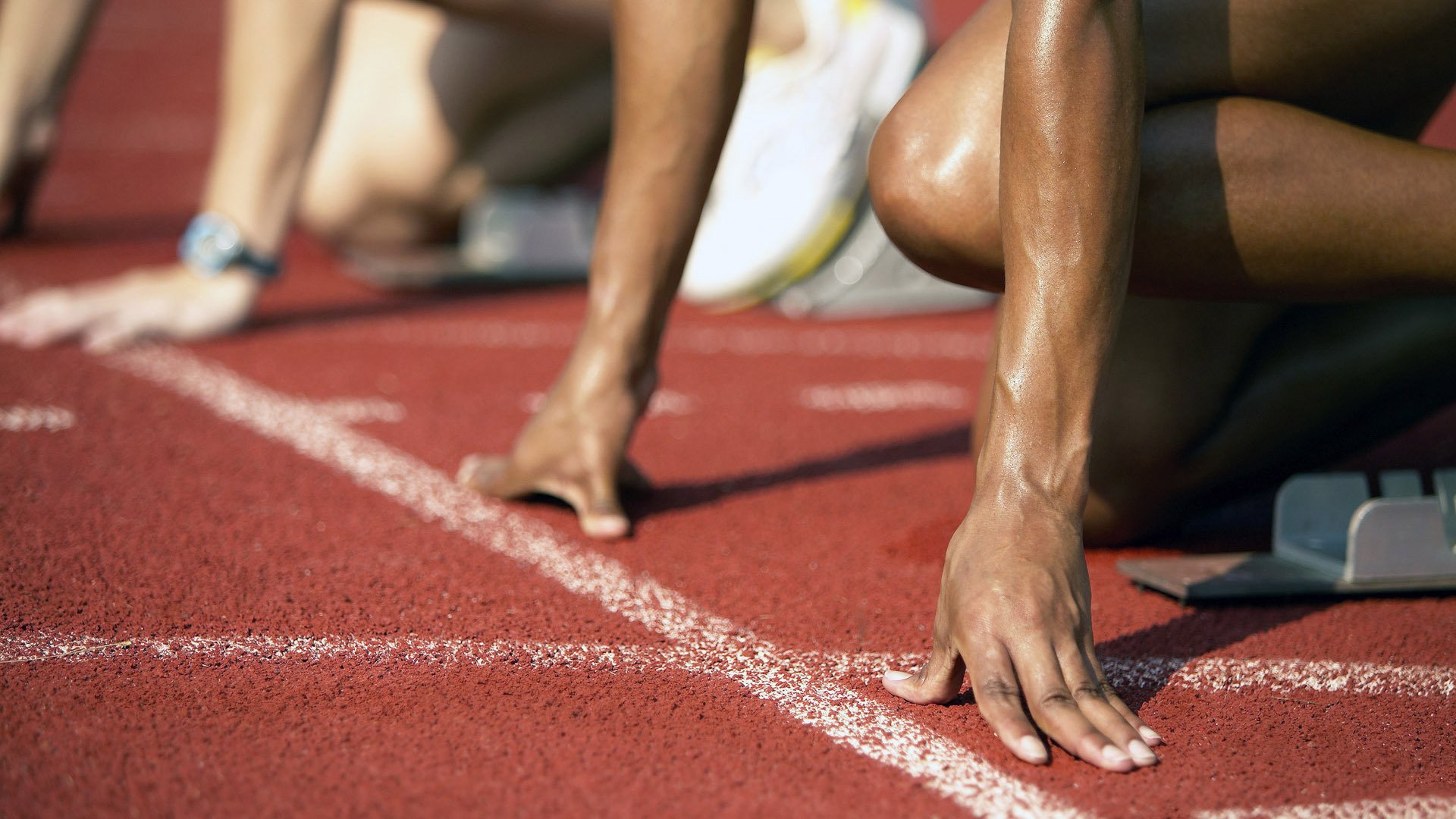 mk体育平台网页版入口-体育新闻中心公开国家级体育场馆建设进度通报，中国体育场馆的建设情况